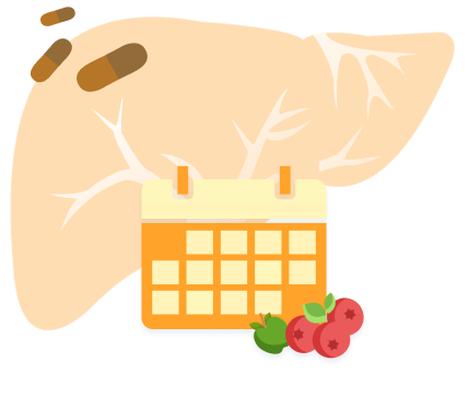 Календарь печени